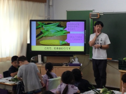 とうもろこし2
