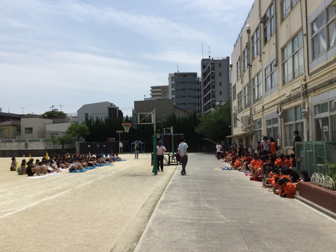 56年