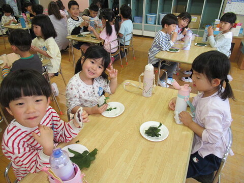 年長かしわもち