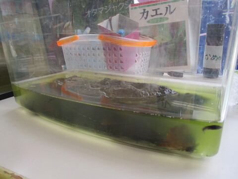 sanpo5