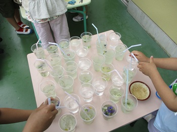 nentyo6