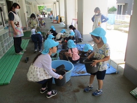 野菜の苗植え　土づくり