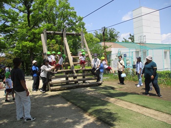 oyako8