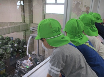 recycle3