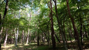 朝の宿舎前