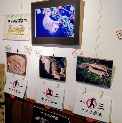 やまね館2