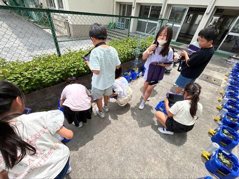 写真2