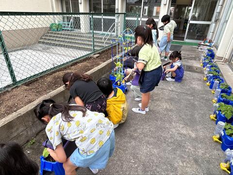 写真1