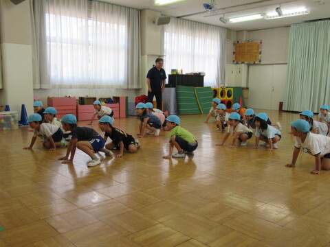 だるまどうぶつ