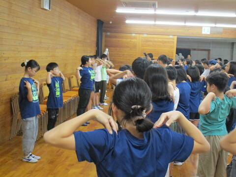 9asas3