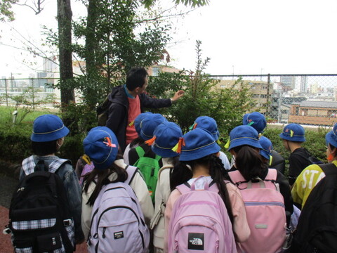 9ara1