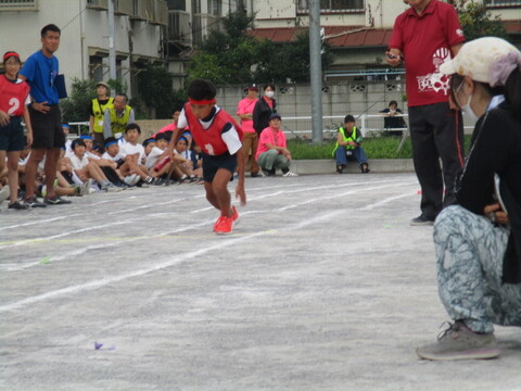 renr1
