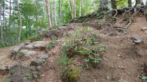 akuro
