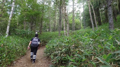 kosaka
