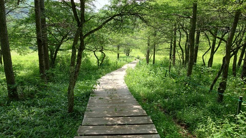 mokudou