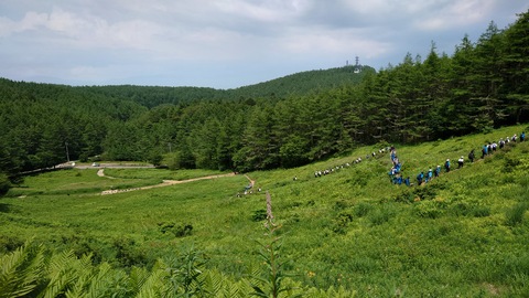 tozan