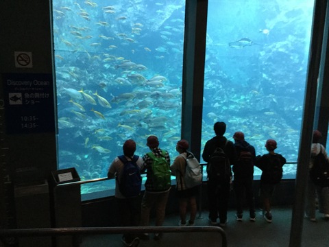 水族館1