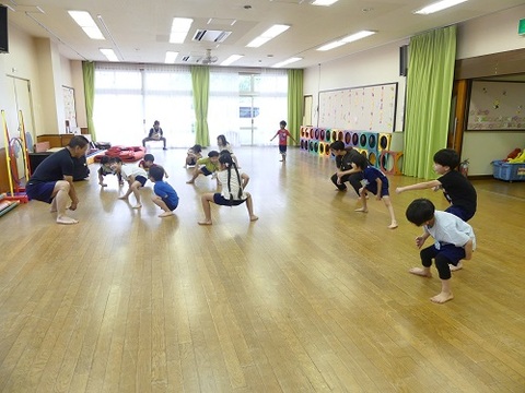 いるか組のニコトレ