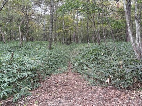清里オリエンエンターリング(1)