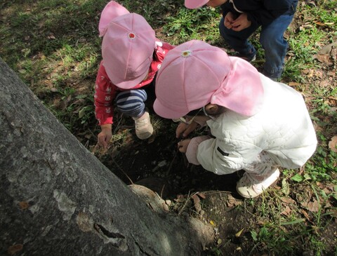 子どもがどんぐりをひろっている