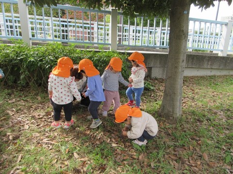子どもがどんぐりを探している