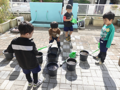 りす組の水やり