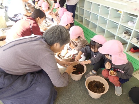 うさぎ組球根植え
