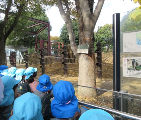 動物園見学
