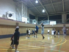 バスケットボール(男女)