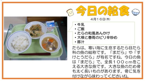 4/16　牛乳、ご飯、たらの和風あんかけ、大根と春雨のピリ辛炒め、豚汁
