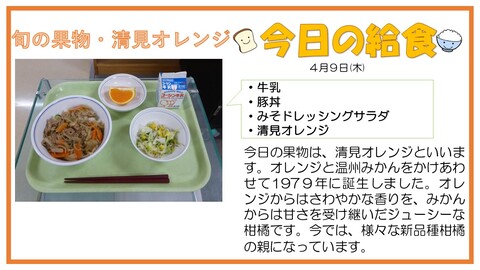 4/9　牛乳、豚丼、みそドレッシングサラダ、清見オレンジ