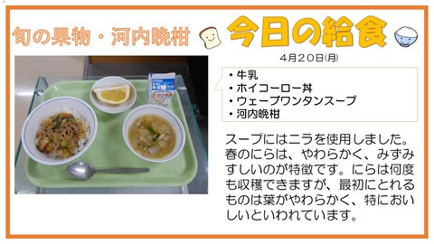 4/20　牛乳、ホイコーロー丼、ウェーブワンタンスープ、河内晩柑
