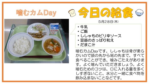 5/28　牛乳、ご飯、ししゃものピリ辛ソース、豆苗のさっぱり和え、だまこ汁