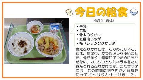 6/24　牛乳、ご飯、骨太ふりかけ、五目肉じゃが、梅ドレッシングサラダ
