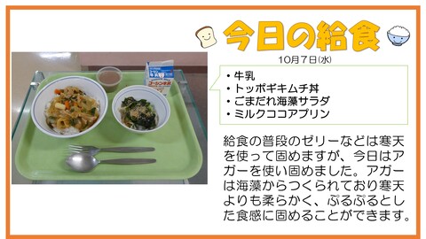 10/7　牛乳、トッポギキムチ丼、ごまだれ海藻サラダ、ミルクココアプリン