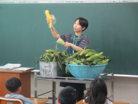 5corn1