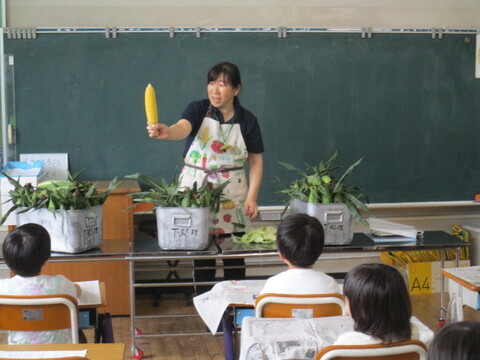 5corn2