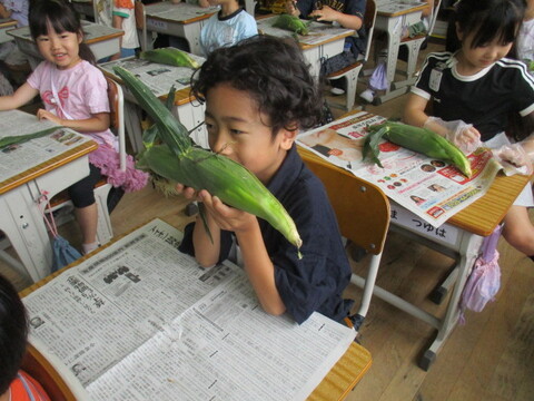5corn5