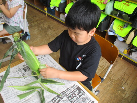 5corn6