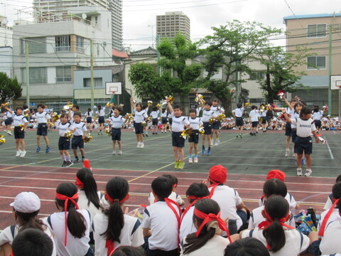 7eng4