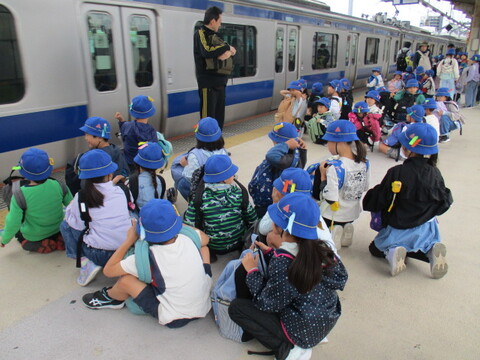 8zoo1