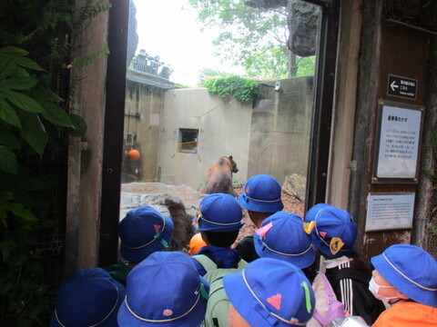 8zoo2