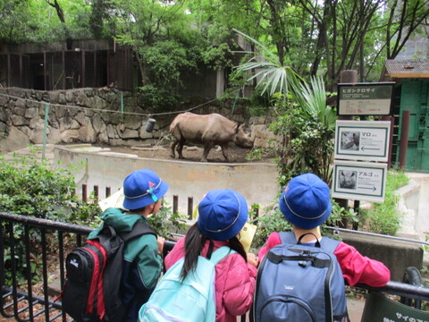 8zoo4