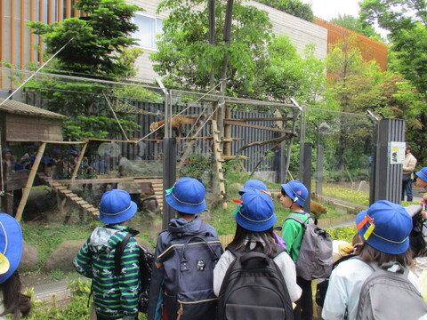 8zoo5