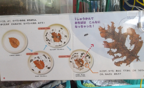 表