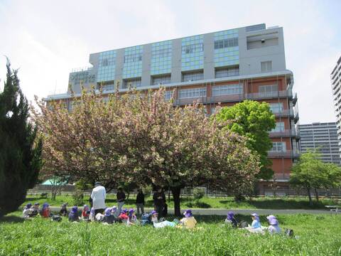 芝生広場でお弁当