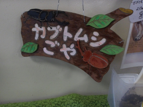 かぶとむし1