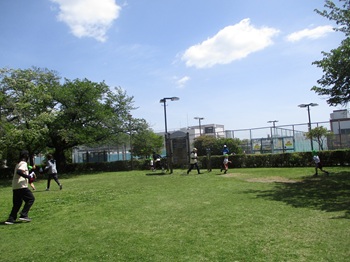 08042203