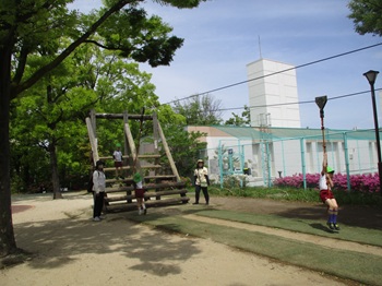 08042207