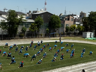 7